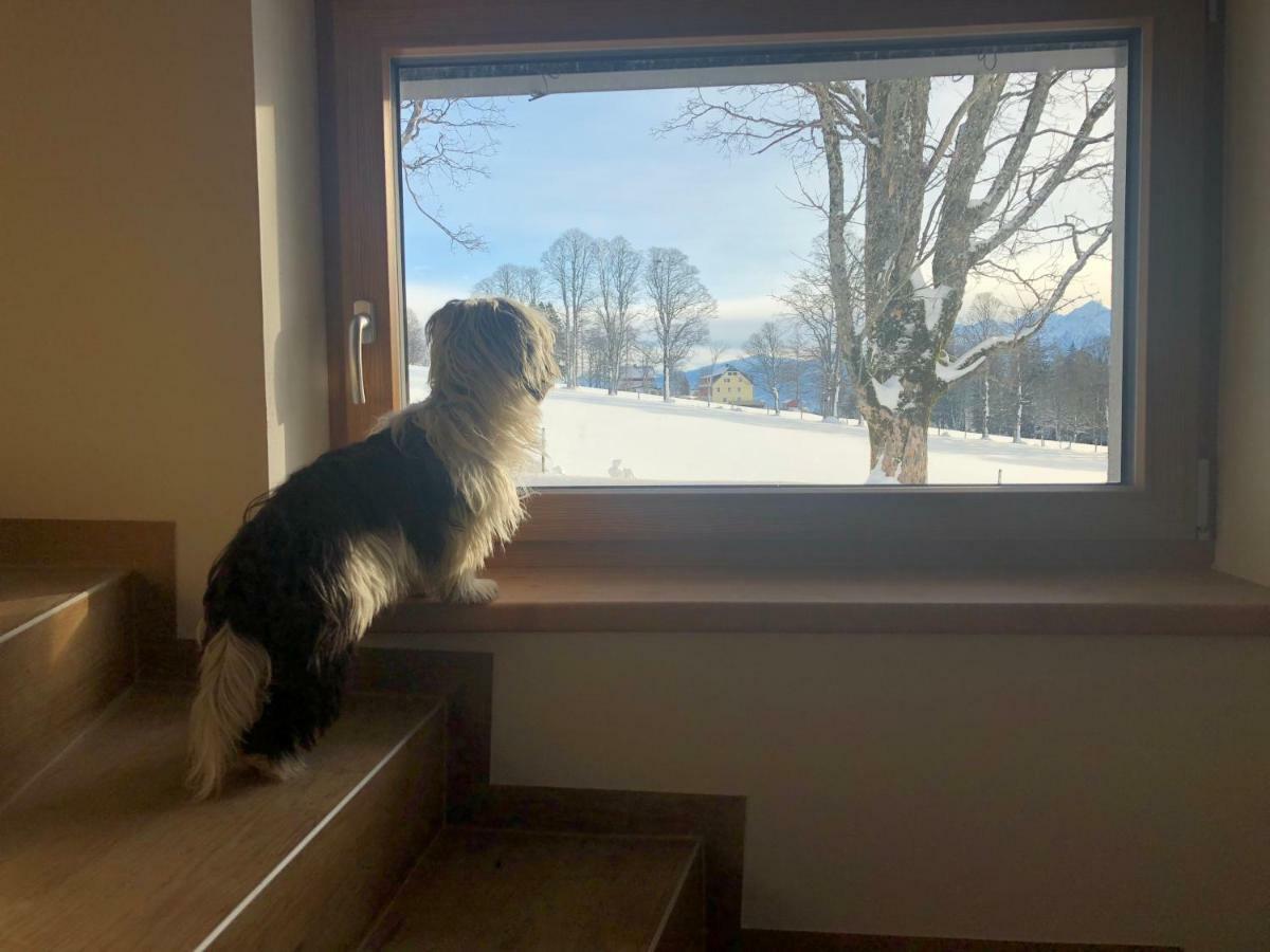 Ferienwohnung Haus am Berg Ramsau am Dachstein Exterior foto